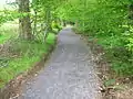 A portion of the path looking up from the Chapelburn at the Anderson Plantation.