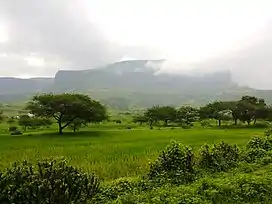 Anjineri fort near Brahmhagiri hill, Nasik