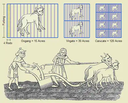 This derivative work depicts six historical units of land measurement: the furlong, the rod, the oxgang, the virgate, the carucate, and the acre.