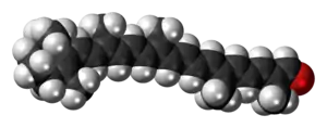 Space-filling model of the apocarotenal molecule