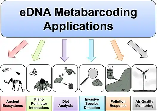 Applications of environmental DNA metabarcoding in aquatic and terrestrial ecosystems 