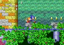 From a side-scrolling perspective, Sonic and Tails hop across pillars from ancient ruins floating in water while collecting golden rings. A waterfall flows behind them and vegetation sits in front of them.