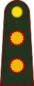 General de brigada(Argentine Army)