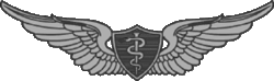 Flight Surgeon Badges