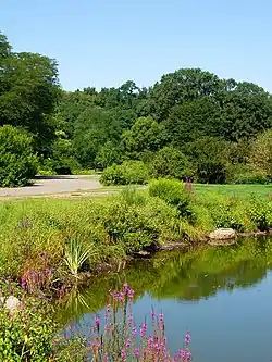 Arnold Arboretum