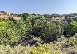 Arroyo de los Chamisos canyon above St. Michaels Drive