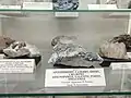 en:Arsenopyrite, en:Galena, en:Pyrite, en:Sphalerite (en:Enyovche, E. Rhodopes) - Collection of V. Breskovska at the Sofia University "St. Kliment Ohridski" Museum of Mineralogy, Petrology and Mineral Resources