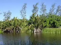 Asan Foun freshwater lagoon