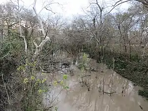 Caney Creek looking upstream at the County Road 112 bridge in Ashwood