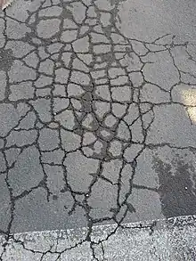 Fatigue cracking in asphalt pavement.