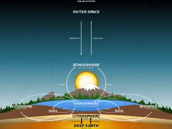 Examples of major biogeochemical processes