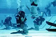 Second Phase Trainees start diving in the pool.