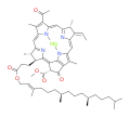 bacteriochlorophyll b