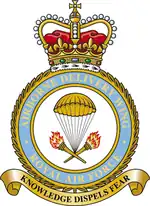 Airborne Delivery Wing badge