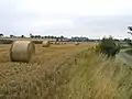 Typical agricultural scene in Laughton