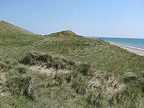 Ballyteige Burrow