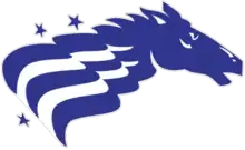 Team logo