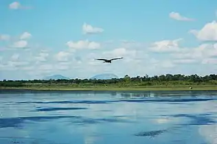 View of Hesaraghatta lake