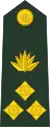 Brigadier general(Bengali: ব্রিগেডিয়ার জেনারেল, romanized: Brigēḍiẏāra jēnārēla)(Bangladesh Army)