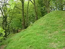 Castle Neroche: a motte and bailey castle and earlier defences above Castle Plantation