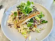 Barramundi