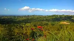 Looking north from PR-805 in Palos Blancos barrio