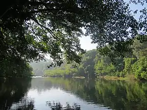 Bavali river at Palappuzha