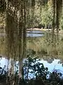 The Camp Salmen Nature Park Property, on which the Camp Salmen House is located, has almost one-half mile of frontage along Bayou Liberty.