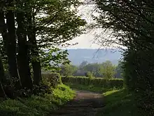 Sarsgrove Wood, which forms part of the  estate, 2012