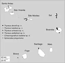 A black-and-white map of the ranges of various bees in the islands of Cape Verde, including *T. denolii*.