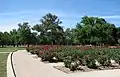 Benalla Botanic Gardens, Victoria, Australia 2006