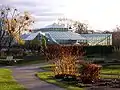 E. Anderson's greenhouse