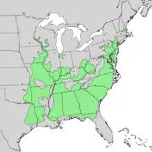 Betula nigra range map