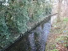 The Beverley Brook looking downstream from the Motspur Park / West Barnes Lane road bridge.