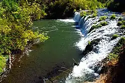 A short, wide, moderate-sized waterfall surrounded by vegetation