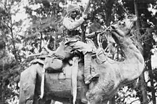 A dark-skinned man wearing a turban is mounted on a camel. He is holding a vertically aimed rifle in his right hand. Behind his is a background of trees.