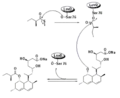 Biosynthesis using broadly specific acyltransferase