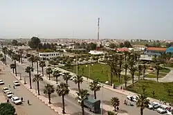 Town with many houses and palm trees