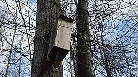 Birdhouse in Vancouver's Everett Crowley Park