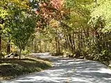 Road on Black Rock Mountain