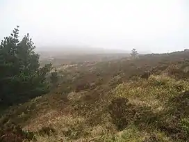 Ballyhoura Mountains