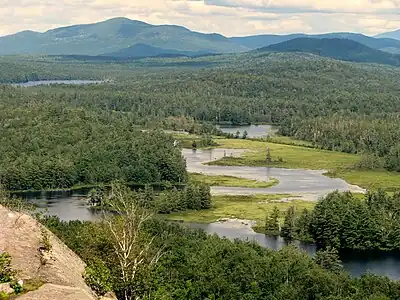 Bog River Flow from Low's Ridge