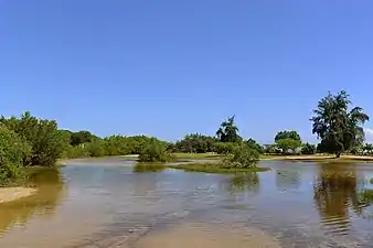 Salt flats of the dry forest in Boca, Guayanilla.