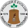 Official seal of Manicoré