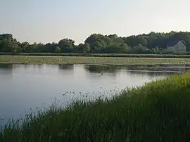 A view beside the pond in Saint-Michel en Brenne