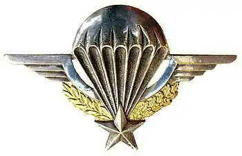 French military parachutist badge