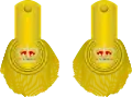 1810 to 1855 lieutenant colonel's shoulder rank insignia