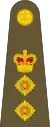 Colonel