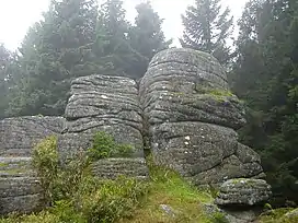 The Brockenkinderklippe tor on the Renneckenberg