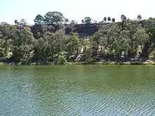 Lake with trees growing on the shore